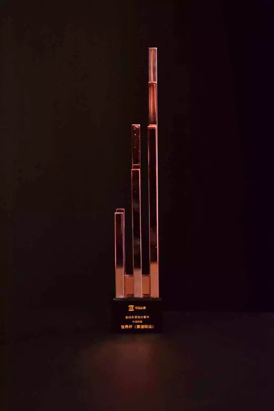 金線(xiàn)條營(yíng)銷(xiāo)品牌獎(jiǎng)——中國(guó)聯(lián)塑《世界杯——黃健翔談》